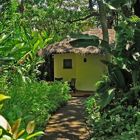 Moivaro Coffee Lodge アルーシャ エクステリア 写真