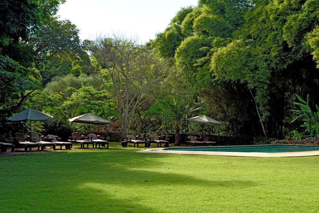 Moivaro Coffee Lodge アルーシャ エクステリア 写真