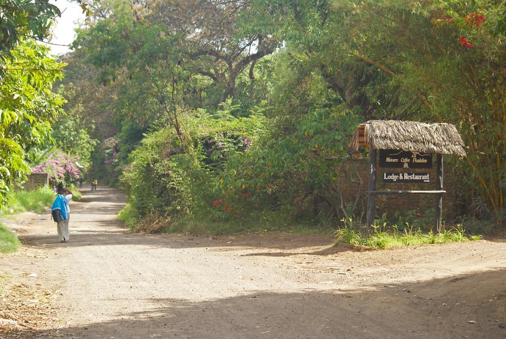 Moivaro Coffee Lodge アルーシャ エクステリア 写真