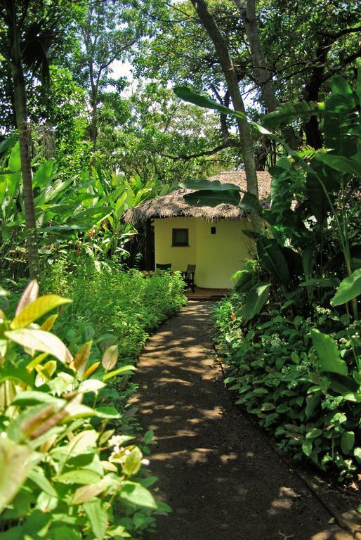 Moivaro Coffee Lodge アルーシャ 部屋 写真
